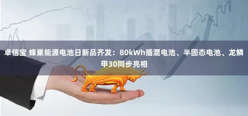 卓信宝 蜂巢能源电池日新品齐发：80kWh插混电池、半固态电池、龙鳞甲30同步亮相